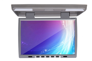 Автомобильный потолочный монитор 15.6" со встроенным DVD Envix X1510D (серый), фото 1