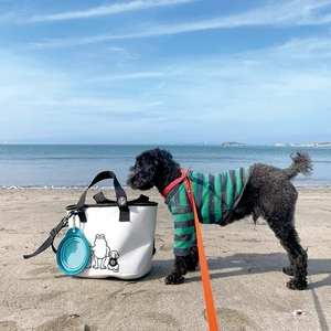 Сумка влагозащитная Stream Trail WMD Bag Splash 7L, фото 2