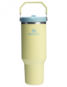 Термокружка STANLEY Iceflow2.0 0,89L (10-13319-005) цитрон, фото 1