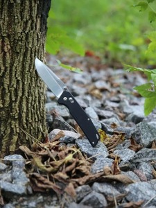 Нож Firebird by Ganzo FB7601-BK черный, фото 10