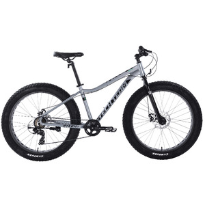 Велосипед TechTeam Garet 26"х18" серый 2023