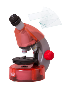 Набор микроскоп Levenhuk LabZZ M101 Orange\Апельсин + предметные стекла 76х25 мм (50шт)