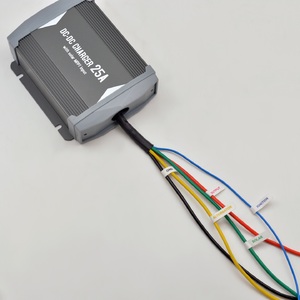 Автоматическое зарядное устройство BERKUT Specialist DC-25A, фото 4