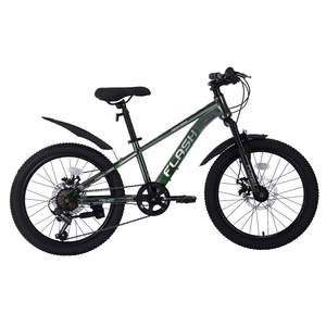 Велосипед Tech Team FLASH 22"х12" зеленый хамелеон 2024