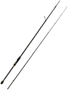 Удилище спиннинговое двухчастное Ares Agny-803HH 18 - 80 гр., фото 2