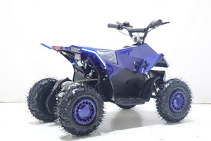 Квадроцикл Toyland ATV-2E 36V1000W Синий (Blue), фото 2