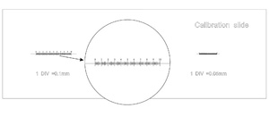 Слайд калибровочный MAGUS CS3 (0,01/0,05/0,1), фото 4