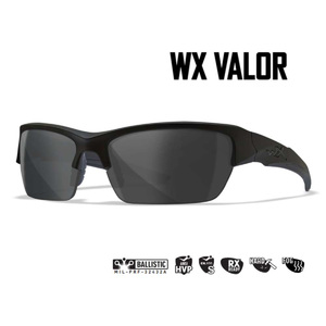 Очки защитные Wiley X WX Valor (Frame: Matte Black, Lens: Grey), фото 1