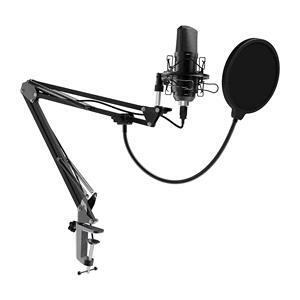 Микрофон RITMIX RDM-169 Black, фото 1