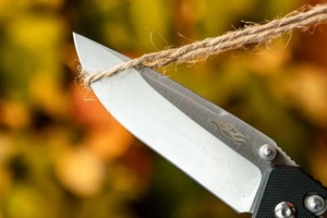 Нож Firebird by Ganzo FB7601-BK черный, фото 15