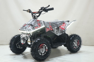 Квадроцикл Toyland ATV-2E 36V1000W Мульти черный (Scull 8), фото 1