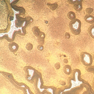 Микроскоп металлографический инвертированный MAGUS Metal V790 DIC, фото 12