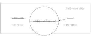 Слайд калибровочный MAGUS CS3 (0,01/0,05/0,1), фото 6