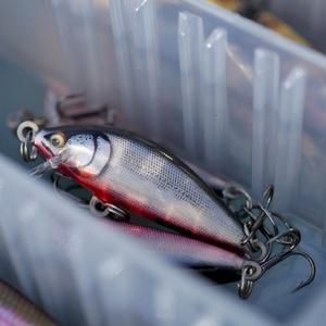 Воблер RAPALA CountDown Elite 95 GDAY тонущий 1,2м, 9,5см, 14гр, фото 3