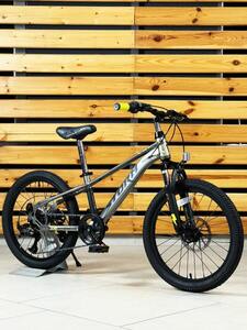 Велосипед  подростковый Tech Team Storm 20"х11 серый 2026, фото 2