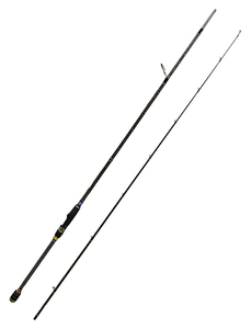 Удилище спиннинговое двухчастное Ares Agny-800H 14 - 56 гр., фото 2