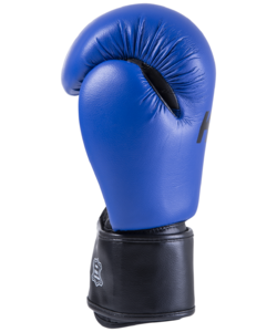 Перчатки боксерские KSA Spider Blue, 12 oz, фото 3