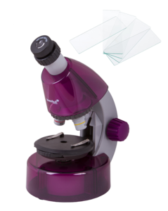 Набор микроскоп Levenhuk LabZZ M101 Amethyst\Аметист + предметные стекла 76х25 мм (50шт)