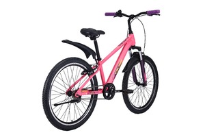 Велосипед Tech Team Calibri 24"x12"( розовый  сталь)2025, фото 4