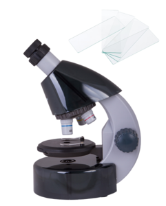 Набор микроскоп Levenhuk LabZZ M101 Moonstone\Лунный камень + предметные стекла 76х25 мм (50шт)