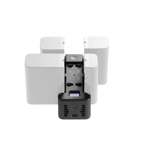 Зарядное устройство GreenBean QuadCharger NPF, фото 3