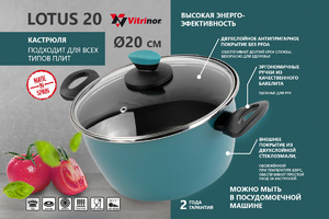 Кастрюля с крышкой Vitrinor Lotus 20 (01114722), фото 1