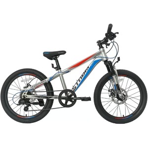 Велосипед  подростковыйTech Team Storm 20"х11 серебряный 2026, фото 1