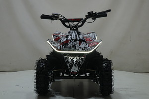 Квадроцикл Toyland ATV-2E 36V1000W Мульти черный (Scull 8), фото 6