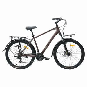 Велосипед Tech Team Velvet 29"x19 виски 2026, фото 1