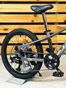 Велосипед  подростковый Tech Team Storm 20"х11 серый 2026, фото 6