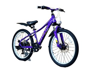 Велосипед Tech Team Katalina 22"х12 фиолетовый 2026, фото 1