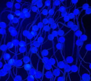 Инновационная LED-гирлянда ЛАМПОВА "ПРАЗДНИЧНЫЕ ШАРИКИ" цветные 50 ламп, 5 метров (LJL-4-USB-RGB50-5), фото 6