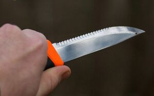 Нож Morakniv Companion F Serrated, нержавеющая сталь, 11829, фото 10