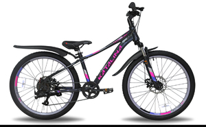 Велосипед Tech Team Katalina 24"х13 черный 2026, фото 1