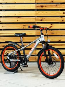 Велосипед  подростковыйTech Team Storm 20"х11 серебряный 2026, фото 4