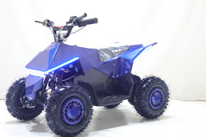 Квадроцикл Toyland ATV-2E 36V1000W Синий (Blue), фото 1