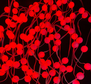 Инновационная LED-гирлянда ЛАМПОВА "ПРАЗДНИЧНЫЕ ШАРИКИ" цветные 50 ламп, 5 метров (LJL-4-USB-RGB50-5), фото 7