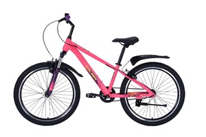 Велосипед Tech Team Calibri 24"x12"( розовый  сталь)2025, фото 2
