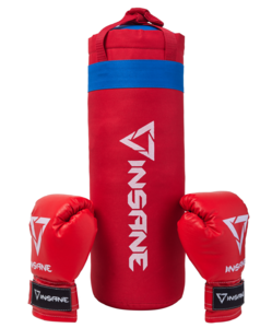 Набор для бокса Insane Fight, красный, 45х20 см, 2,3 кг, 6 oz, фото 1