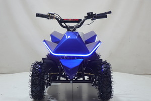 Квадроцикл Toyland ATV-2E 36V1000W Синий (Blue), фото 5