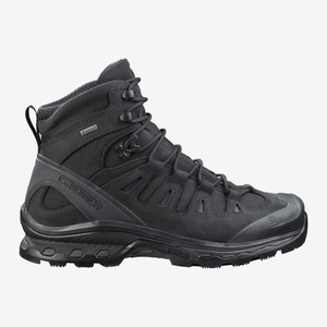 Ботинки Quest 4D GTX Forces 2 EN Salomon, цвет Black(RU 42, EU 43, US9), фото 1