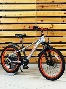 Велосипед  подростковый Tech Team Storm 22"х12 серебряный 2026, фото 1